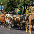 Ruta 66 + Texas 6