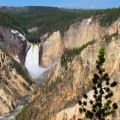 Viajar a Yellowstone 2