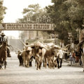 Viajes Texas 5