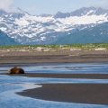 Viaje Alaska 6