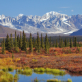 Viaje Alaska 9