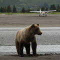 Viaje Alaska 11